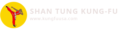 Shan Tung Kung Fu